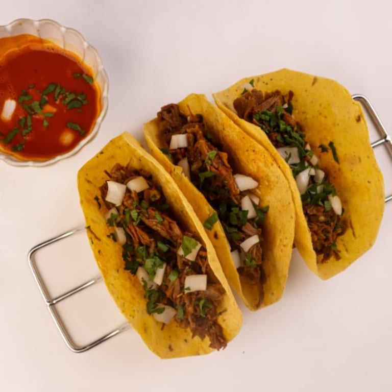 Discover Our Birria Delights